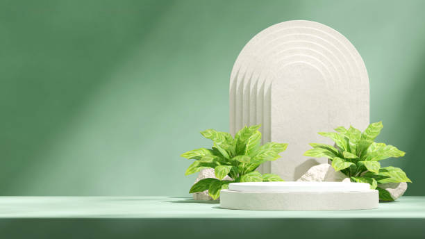 istock arch shape and green plant, 3d render image blank space white natural ceramic podium in landscape 1524207786