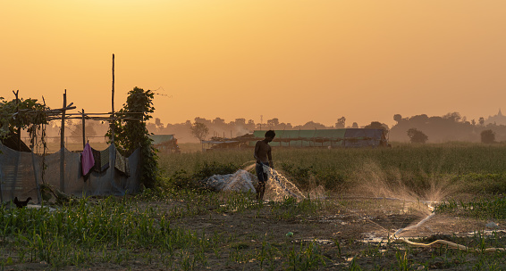 Mandalay, Myanmar - 3/8/2020 : Asian man waters crops at sunset near U Bein Bridge