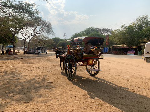 Old Bagan, Myanmar - 3/3/2020 Mn sits in Horse and carriage rickshaw, a popular tourist mode of transportation.
