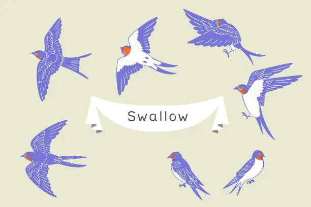 Vector illustration of Retro woodcut-style set of hand-drawn swallow line art illustrations