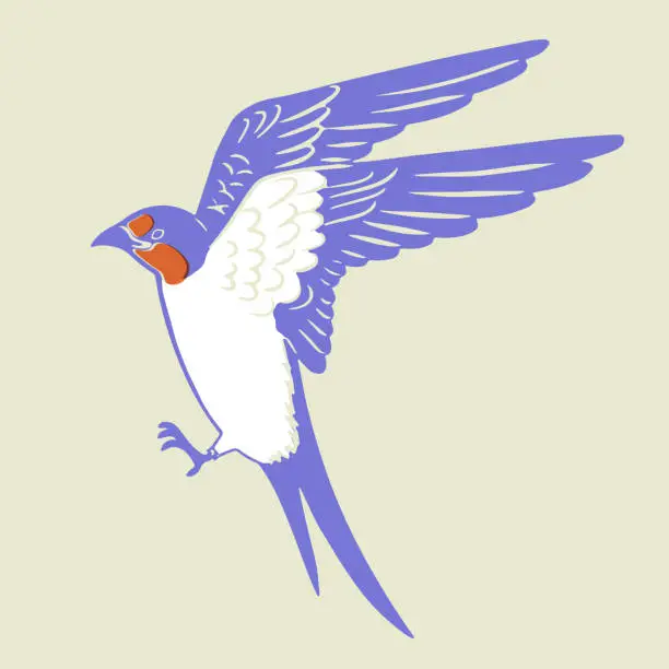 Vector illustration of Retro woodcut-style illustration of a flying swallow