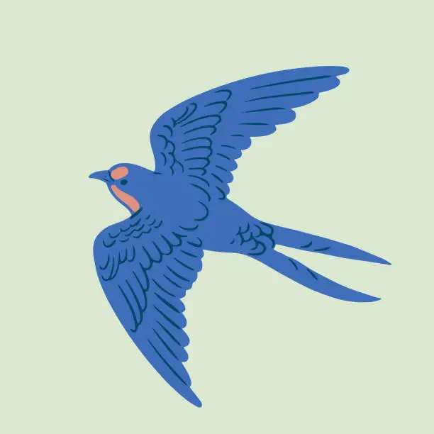 Vector illustration of Hand-drawn retro illustration of a flying swallow