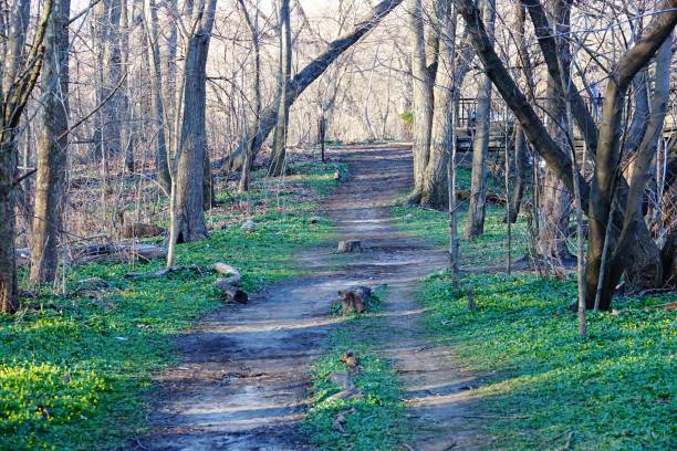 istock Northern Bronx Park And Bronx River 1524273515