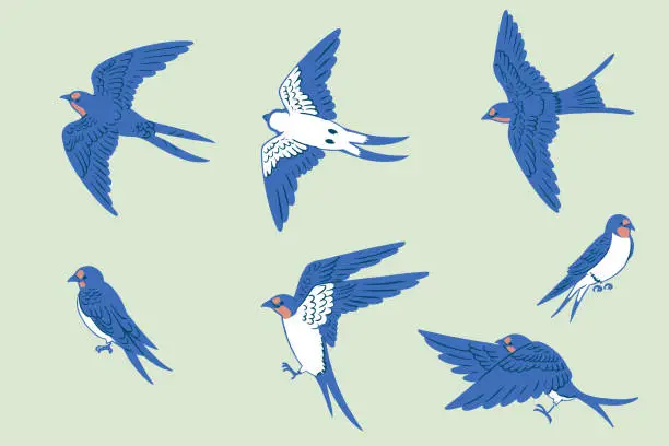 Vector illustration of Hand-drawn retro set of swallow line art illustrations
