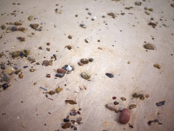 Empty pebble beach by the sea background . space for text