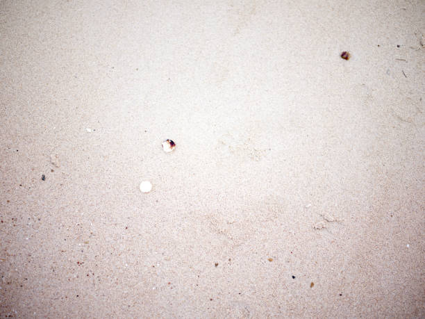 Empty pebble beach by the sea background . space for text