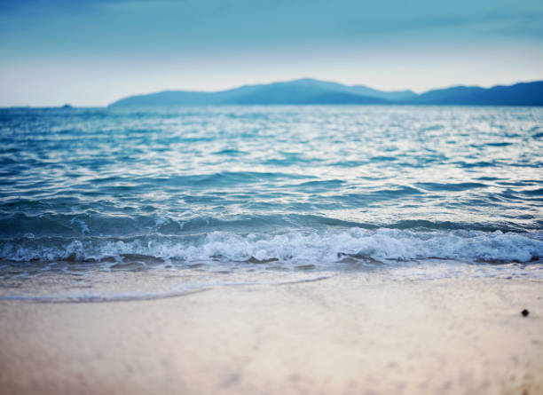 sea sand sky and summer day background