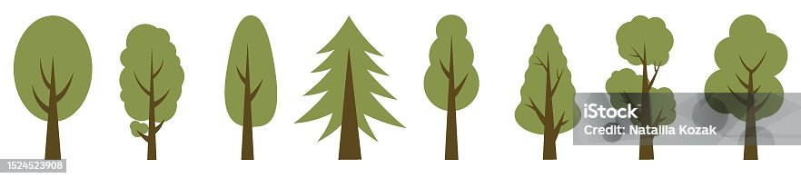 istock Green tall trees. Collection of illustrations of trees. Wood for every taste. Abstraction of trees. 1524523908