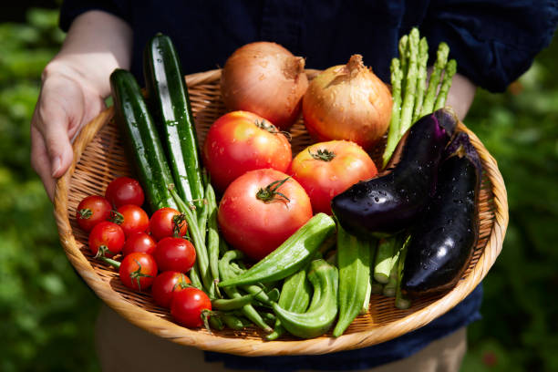 istock Japanese woman with vegetables 1524525562