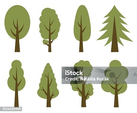 istock Green tall trees. Collection of illustrations of trees. Wood for every taste. Abstraction of trees. 1524530959