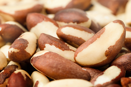 background of shelled brazil nuts, front view