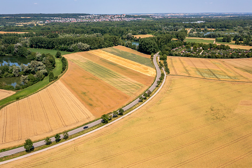 Aerial view of a rural road among yellow wheat fields and green forests.