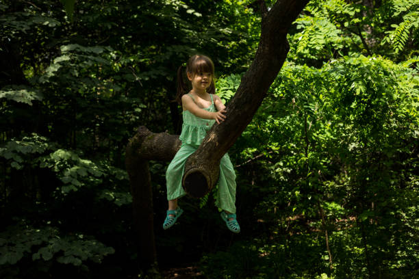 istock The little girl on the tree branch. 1524556529
