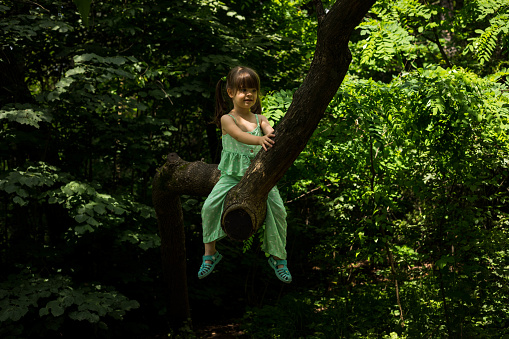 The toddler is playing on the tree. The little girl is sitting on a tree, and pretending that the tree branch is a horse.