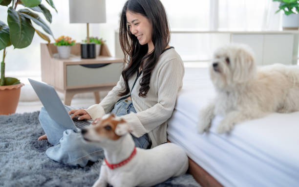 istock Asian woman enjoying internet at home with laptop computer. 1524586322