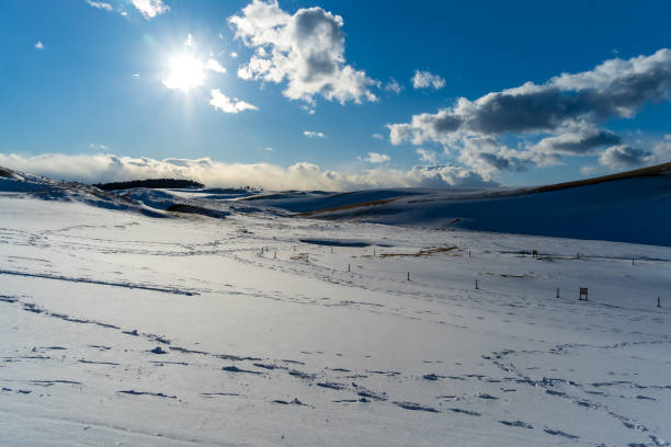 istock Tottori sand dunes in snow 1524608944