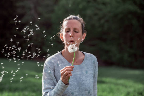 istock Young woman blowing into a delicate dandelion bulb flower 1524667514