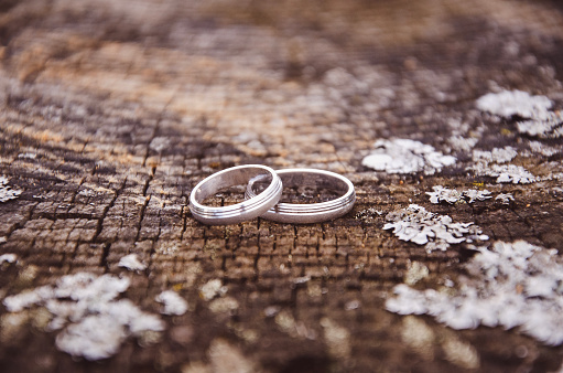 Close up of silver rings placed on a piece of rustic wood
