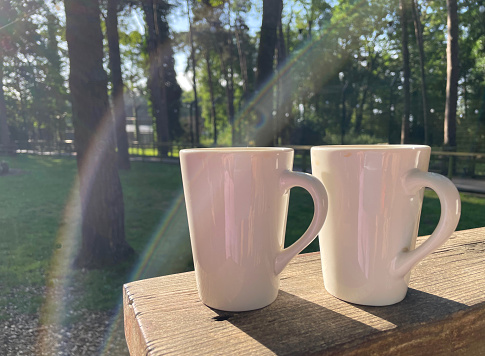 White coffee cups on a wooden railing in focus against an out of focus background f woods trees with sunlight across through the trees