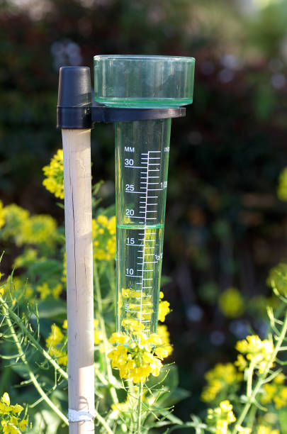istock Clear plastic rain guage attached to a wooden pole 1524702997