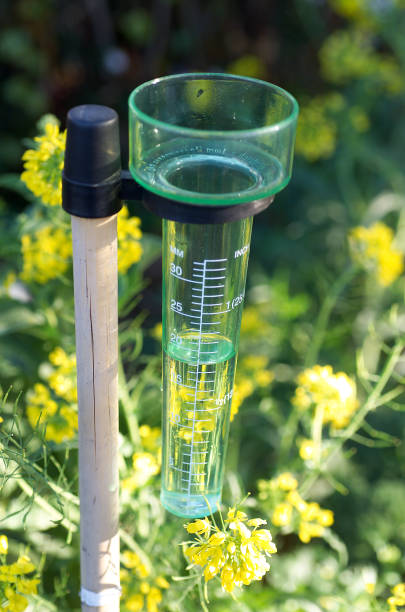 istock Clear plastic rain guage attached to a wooden pole 1524703363