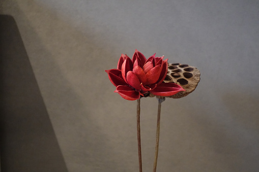 Artificial lotus and lotus seeds