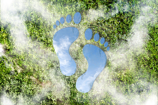 Carbon footprint and sustainability concept