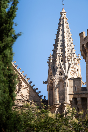 First view, portrait of Cathedral La Seu in Palma de Mallorca, Balearic islands, Spain