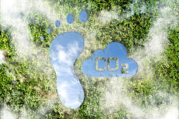 istock Carbon dioxide cloud and sustainability concept with carbon footprint 1524817997
