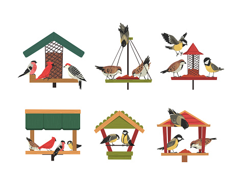 Winter Wooden Bird Feeder with Aves Picking Grain and Seeds Vector Set. Bullfinch, Chickadees and Titmouse Perching on Birdfeeder