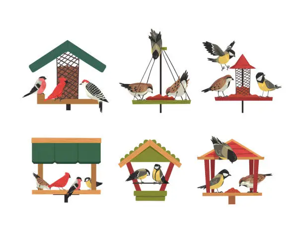 Vector illustration of Winter Wooden Bird Feeder with Aves Picking Grain and Seeds Vector Set