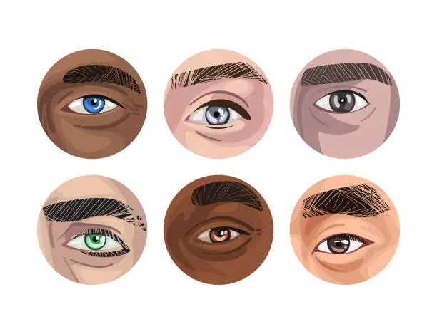 Vector illustration of Human Eye of Various Color as Sense Organ with Brow Vector Set