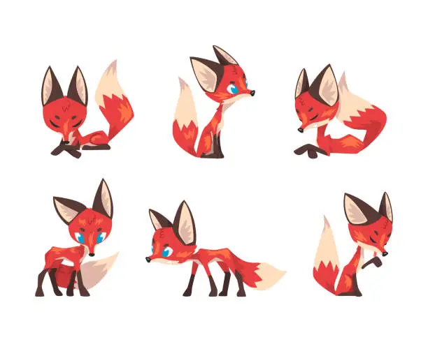 Vector illustration of Cute Red Fox with Bushy Tail in Different Pose Vector Set