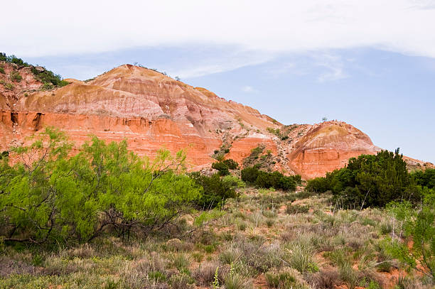 istock Palo Duro Canyon 152493032