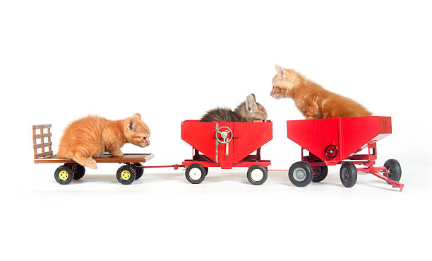 istock Three kittens and farm toys 152494086