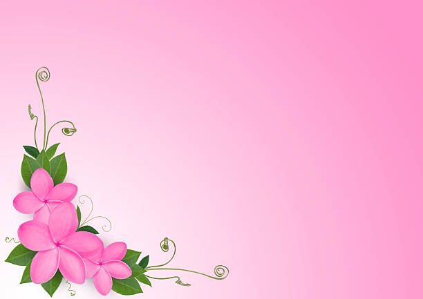 Pink Plumeria and green leaf Design.