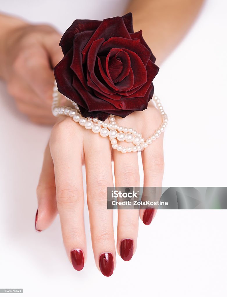 Beautiful Woman Hands With Manicure Jewels And Red Rose Stock ...