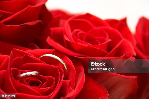 Foto de Anéis De Ouro Dentro De Rosa Vermelha e mais fotos de stock de Aberto - Aberto, Abrindo, Anel - Joia