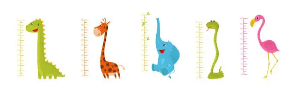 Vector illustration of Height Chart for Kids with Funny Animals Vector Set