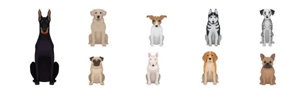 Vector illustration of Purebred Dogs Sitting on Hind Legs Vector Set