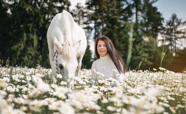 森の春の太陽に座っている女性は、デイジーの花でいっぱいの牧草地に照らされ、隣に白いアラビアの馬 - horse arabian horse arabia white ストックフォトと画像