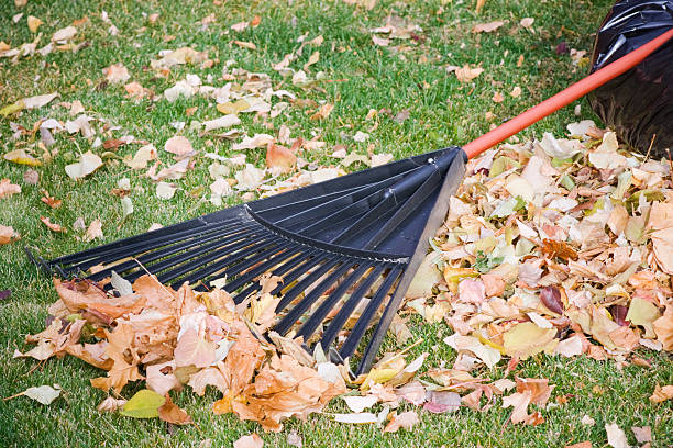 istock rake and a pile of Autumn leaves 152495897