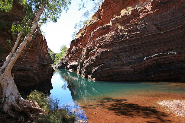 hamersley 계곡, 카 리 지 니 국립공원, 서 호주 노르트 - australia outback landscape desert 뉴스 사진 이미지