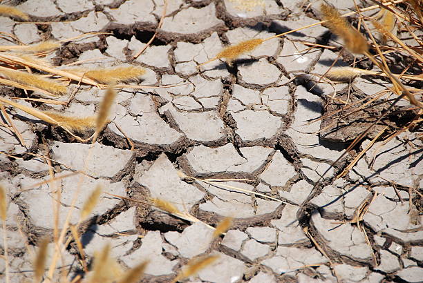 drought stock photo
