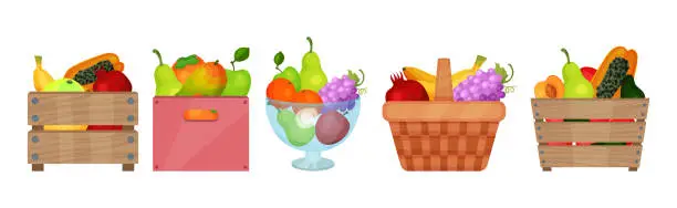 Vector illustration of Fresh Fruits in Basket and Crate Vector Set