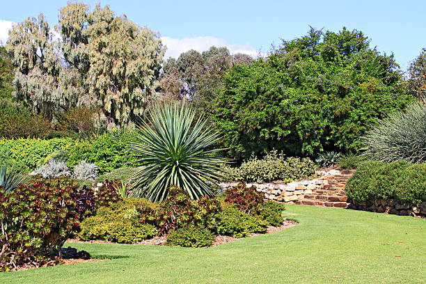 jardin classique avec lits de plantes succulentes - landscaped retaining wall wall stone photos et images de collection