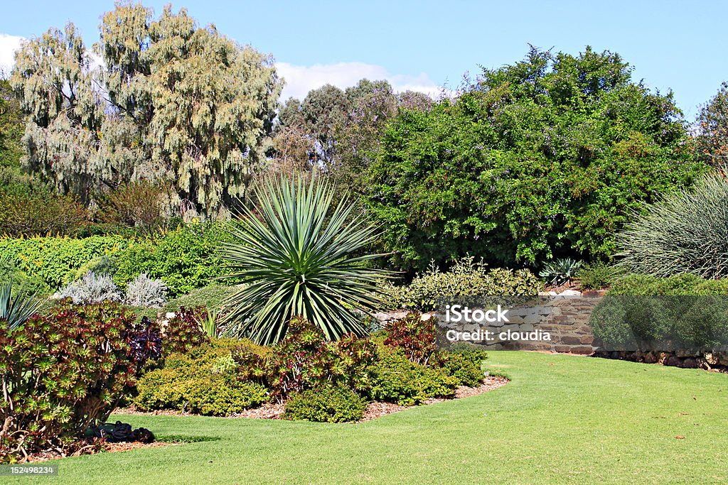 Giardino pubblico con letti di piante succulente - Foto stock royalty-free di Giardino domestico