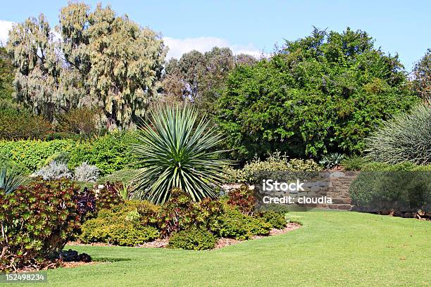 Formal Garden With Beds Of Succulent Plants Stock Photo - Download Image Now - Yard - Grounds, Australia, Succulent Plant