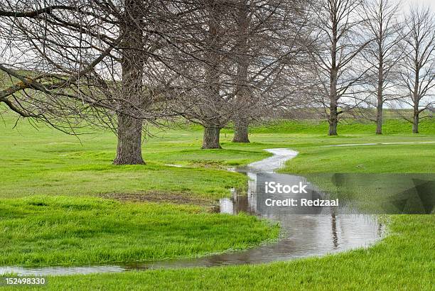 Piccolo Flusso In Esecuzione A Pascolo Di Albero Deciduo - Fotografie stock e altre immagini di Acqua