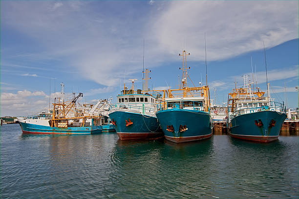 istock Fishing ships in Fremantle harbo 152498648